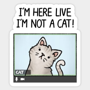 I'm here live, I'm not a cat! Sticker